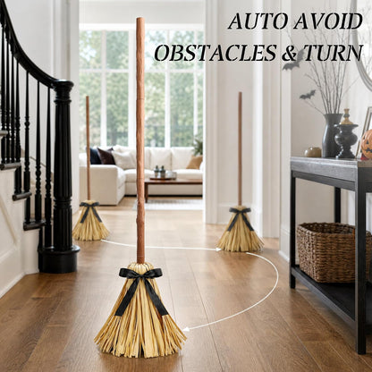 Wandelry - Floating Broom